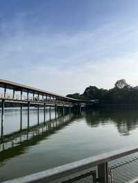 Nature walk with the Wildlife at Mandai