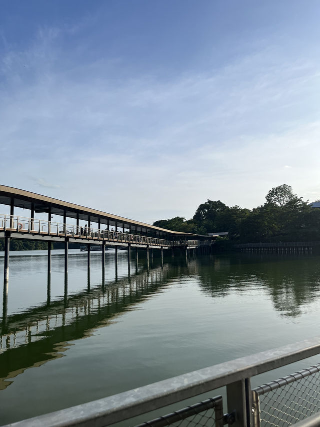 Nature walk with the Wildlife at Mandai