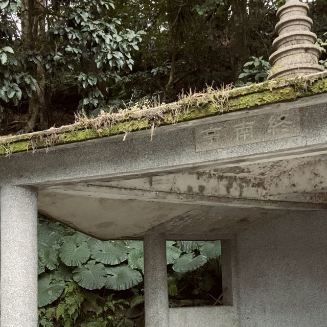 幽靜古樸的指南宮竹柏參道—彷彿走進日式秘境