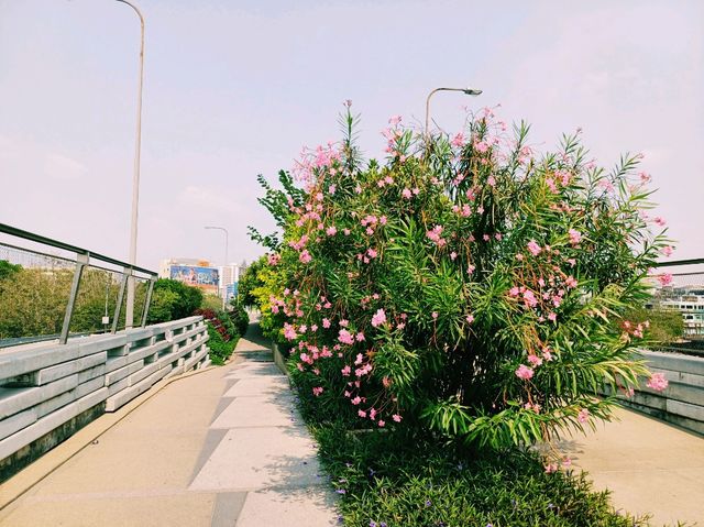 泰國曼谷湄南河畔關帝廟、昭披耶天空公園、佩雲寺、網紅拍照📸餐廳一日遊行程，適合拍照📸打卡