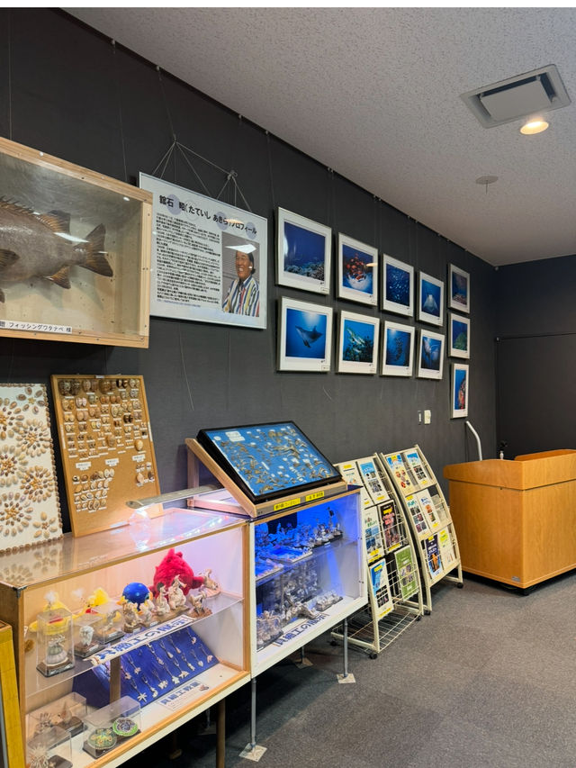 展望台からは館山湾が一望できる千葉の絶景道の駅「渚の駅 たてやま」🫣💞
