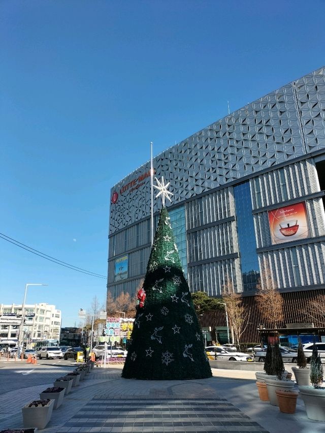 釜山クルーズ船の1人旅
