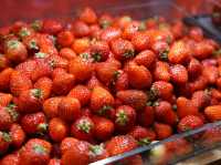 A Sweet and Savory Delight at The Lounge, Hotel New Otani Makuhari🍓