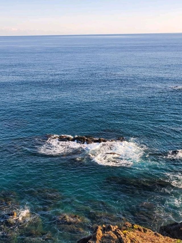 松の緑と紺碧の海が調和する見事な景勝地