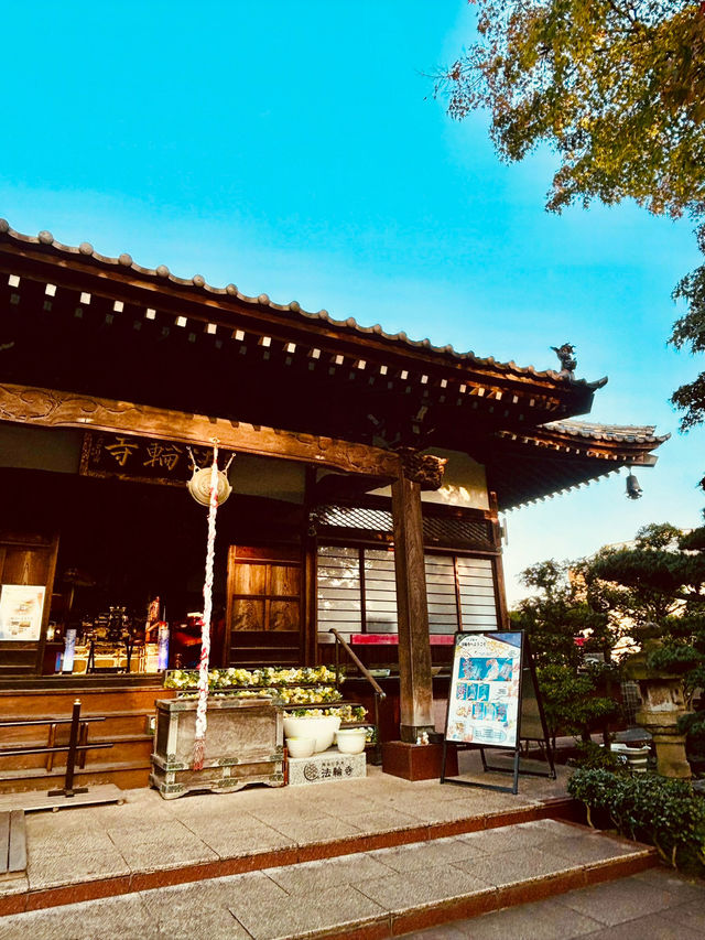 【東京】萬年山法輪寺：東京最美花手水舍，季節限定縷空御朱印