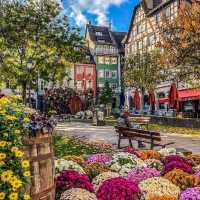 Strasbourg 