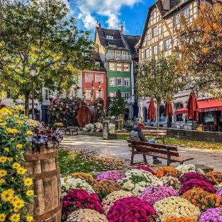 Strasbourg 