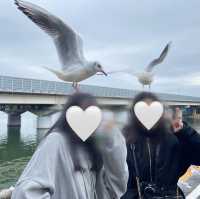 【静岡】天竜浜名湖鉄道  浜名湖佐久米駅の冬❄️