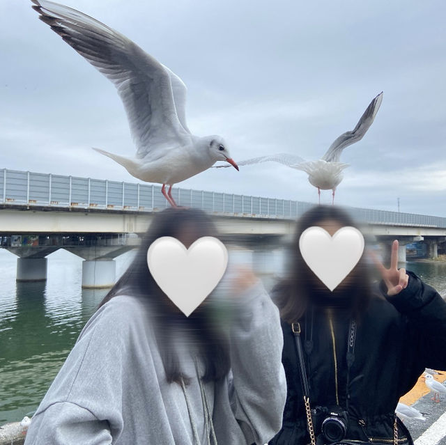 【静岡】天竜浜名湖鉄道  浜名湖佐久米駅の冬❄️