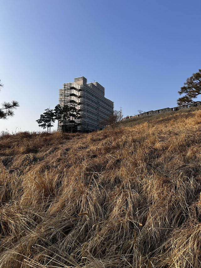 동대문역의 도심속 너무나도 조용한 쉼터 흥인지문공원🇰🇷