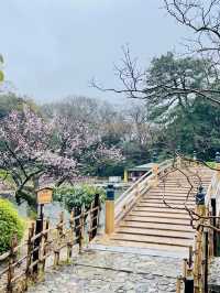 香川｜相傳為狩獵砍光栗林的栗林公園 從顯貴豪邸到藩主秘密花園