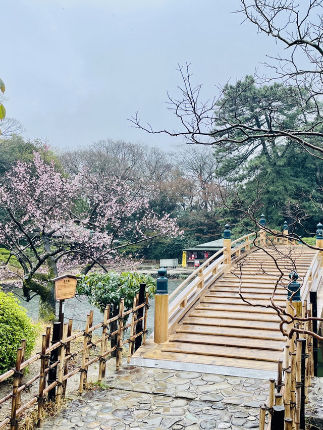 香川｜相傳為狩獵砍光栗林的栗林公園 從顯貴豪邸到藩主秘密花園
