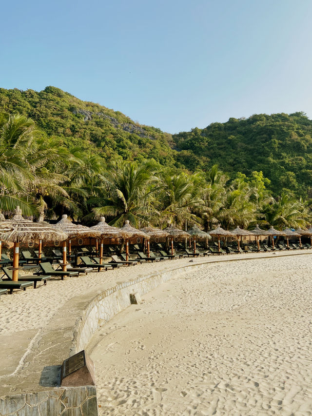 Discover a tranquil beauty of Cat Co 3 beach 🏝️ 