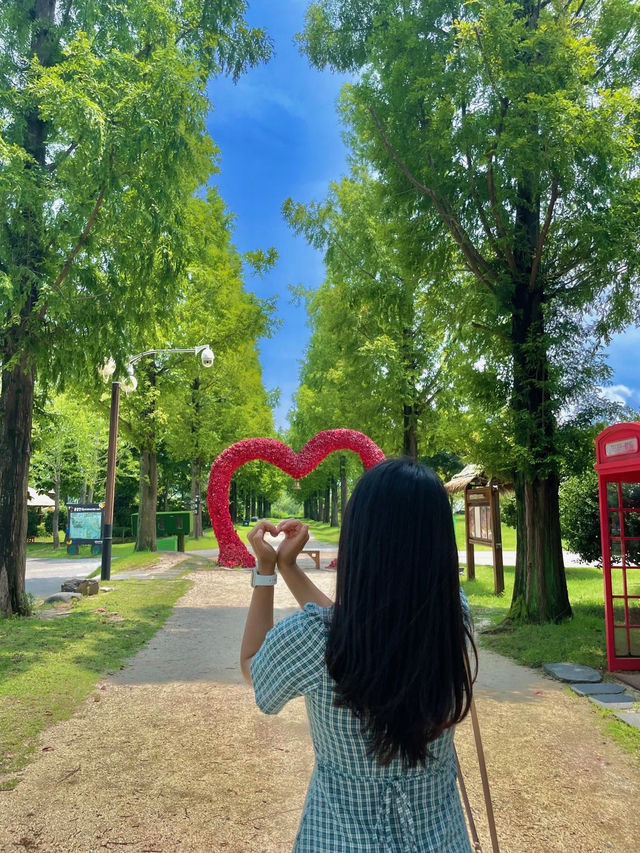 한국판 네덜란드🌷💐
