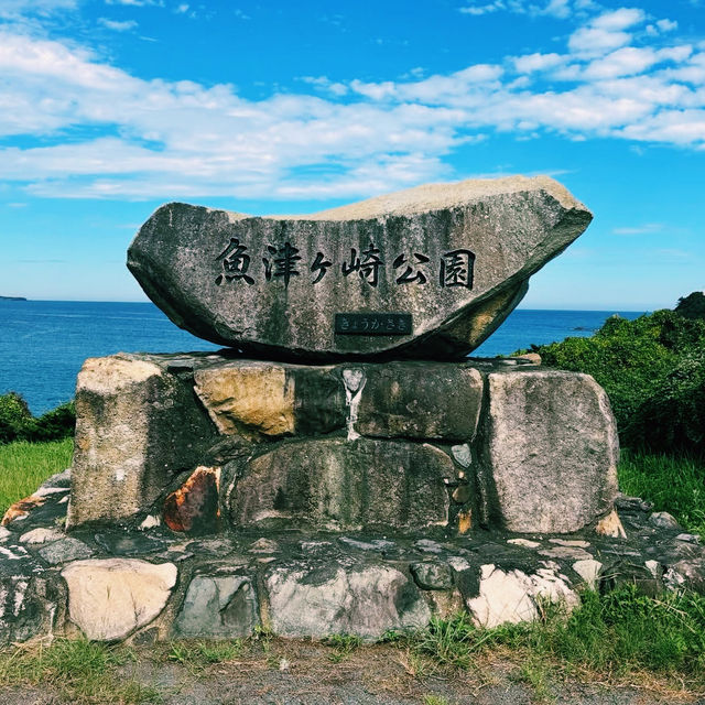 四季折々の花と海が楽しめる公園⛲️