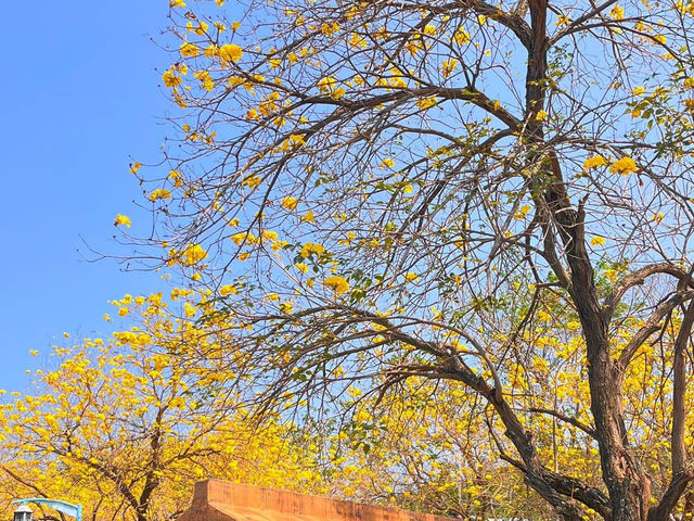 廍子公園