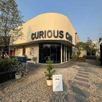  Curious Cafe
