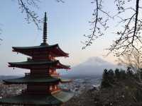 Chureito Pagoda จุดชมซากุระสุดปัง พร้อมวิวฟูจิ