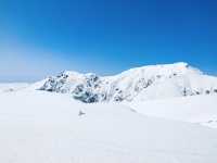 กำแพงหิมะสุดอลังการ Tateyama Kurobe Alpine Route