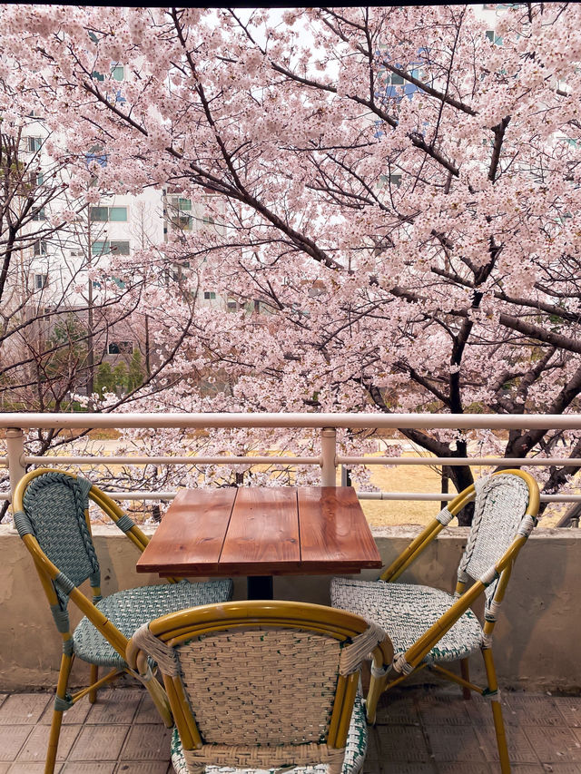 Best Spring Cafés in Seoul🌸 ☕️