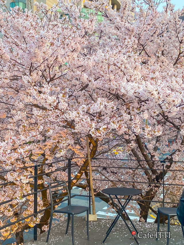 Best Spring Cafés Outside of Seoul in Korea 🌸