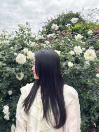 🫧🪻💐莫奈花園🌷🌺 🫧油畫一樣咁靚🖼️