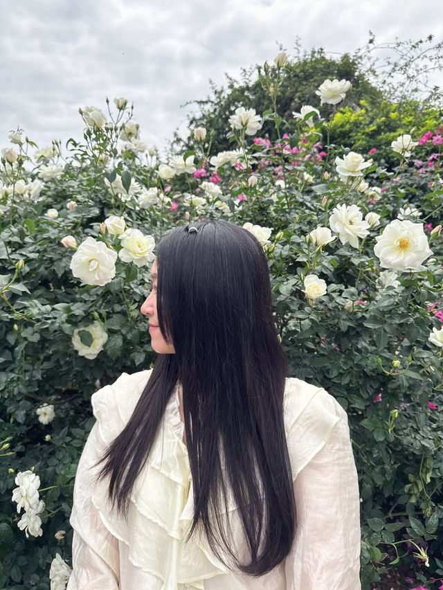 🫧🪻💐莫奈花園🌷🌺 🫧油畫一樣咁靚🖼️