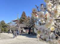 One day trip จุดท่องเที่ยวแถวนาริตะ 