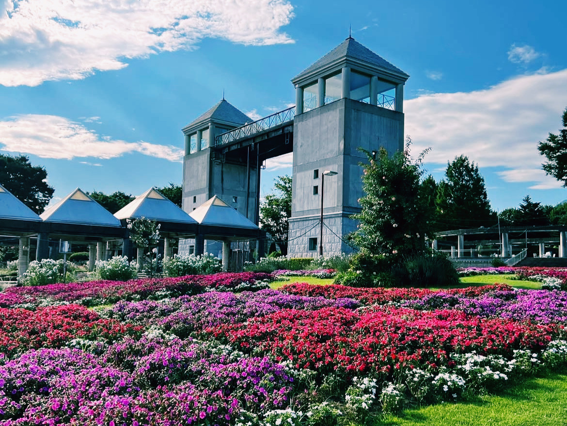 A paradise decorated with flowers of every season🌸🌿