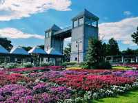 四季折々の花が彩る楽園🌸🌿
