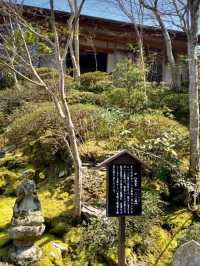 綺麗に整備された庭園が美しい