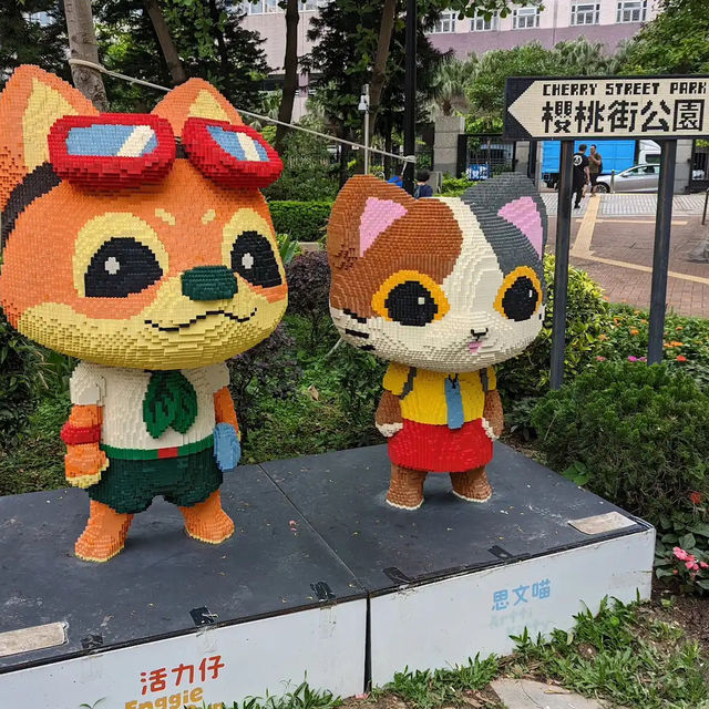 🌸 **櫻桃街公園櫻花觀賞分享** 🌸
