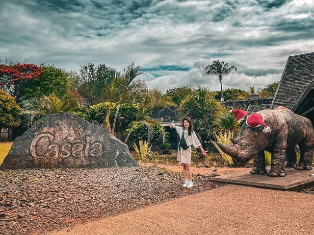 【モーリシャス】動物との距離感バグってるサファリパーク🦁