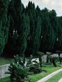 “Blooming Spring Escape at Taman Botani”