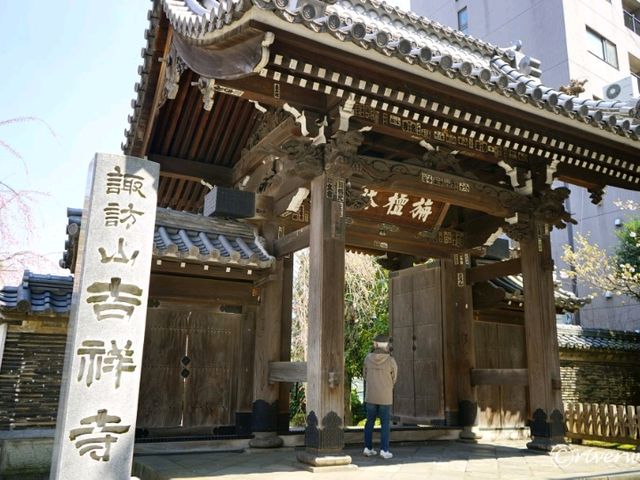 【東京】隠れた桜の名所！「諏訪山　吉祥寺」