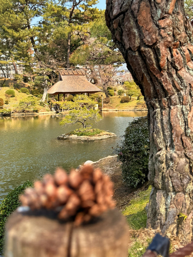 廣島｜泉水屋敷到縮景園 經過原爆悲劇後重現400年前庭園
