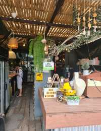 Boxgallery คาเฟ่แมว