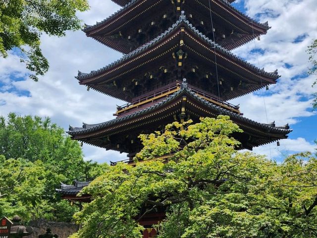 家族で楽しむ都心のリフレッシュポイント – 上野動物園で癒しのひととき