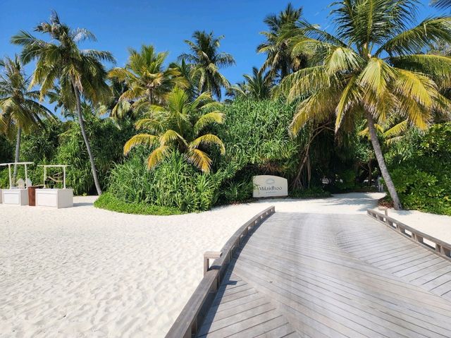 [🇲🇻モルディブ] マレ国際空港からMilaidhoo Maldivesリゾートまでの水上飛行機体験