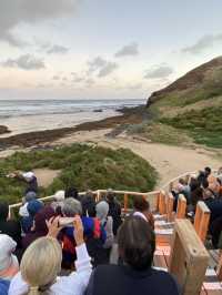 Penguin Parade at Philip Island