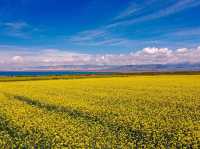 Discover the Magic of Qinghai!