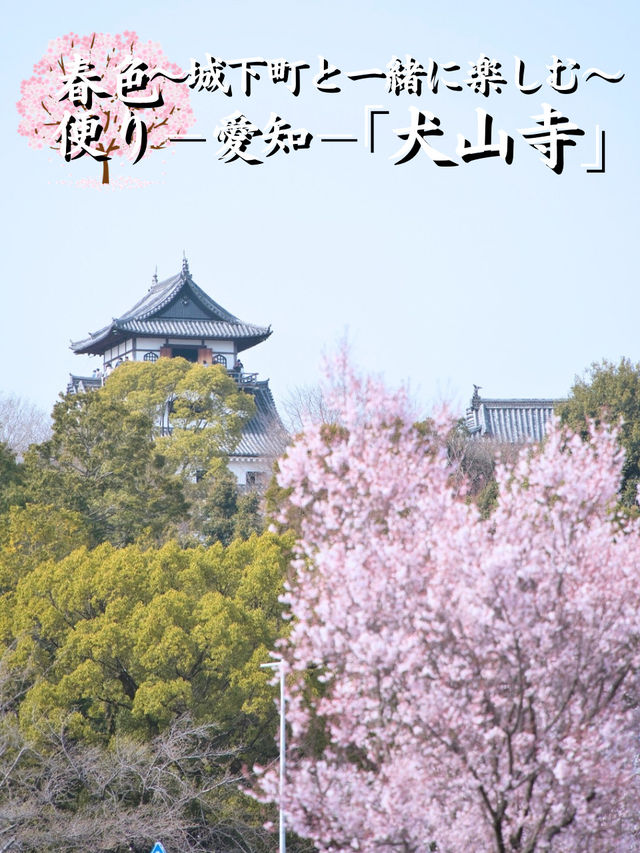 【愛知】行きなきゃ損‼️桜と城とハート絵馬！犬山城＆三光稲荷神社で春の最強コンボ！