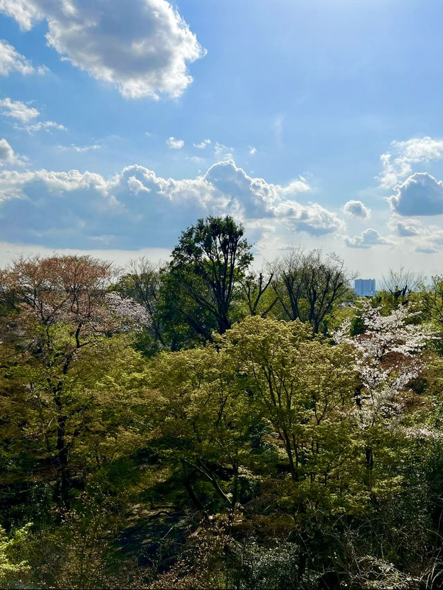 Spring Stroll at Todoroki Valley☘️