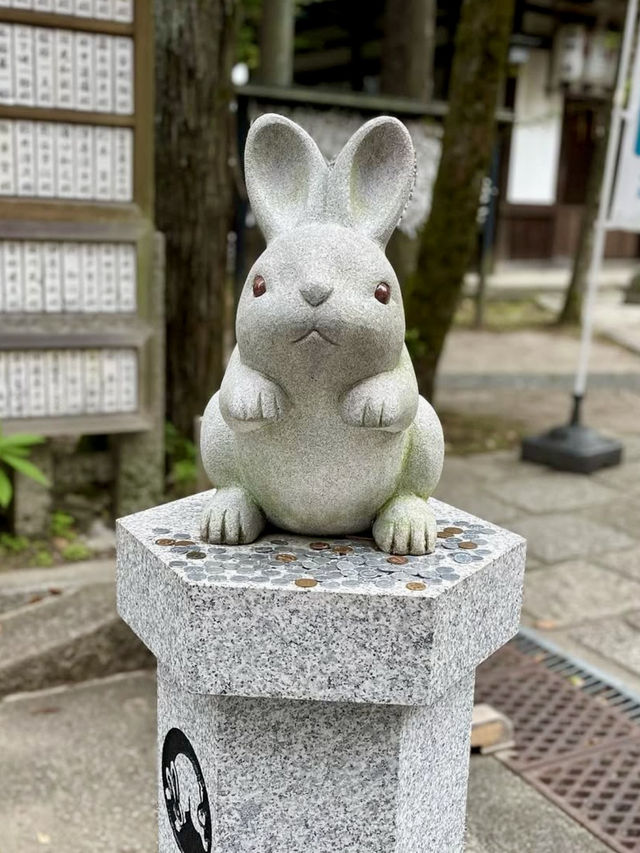 Spring in Kyoto: Visiting Okazaki Shrine🌷