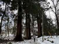 🌲【日本東北秘境！十和田湖四季絕景全攻略🌲🚤🍁】  