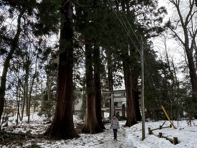🌲【日本東北秘境！十和田湖四季絕景全攻略🌲🚤🍁】  