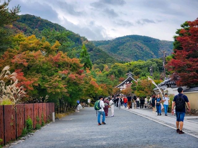 Arashiyama in Early Autumn: A Symphony of Colors and Serenity🎍🍂