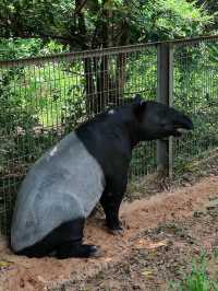 #珍珠野生動物園（Vinpearl Safari Phu Quoc）-越南富國島
