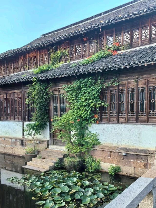Yuehe Historic Street: A Living Legacy by the Water