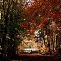 Wandlebury Country Park